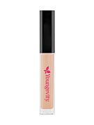 Vanilla Concealer