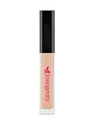 Vanilla Concealer